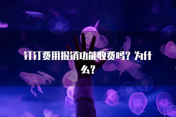 钉钉费用报销功能收费吗?为什么?
