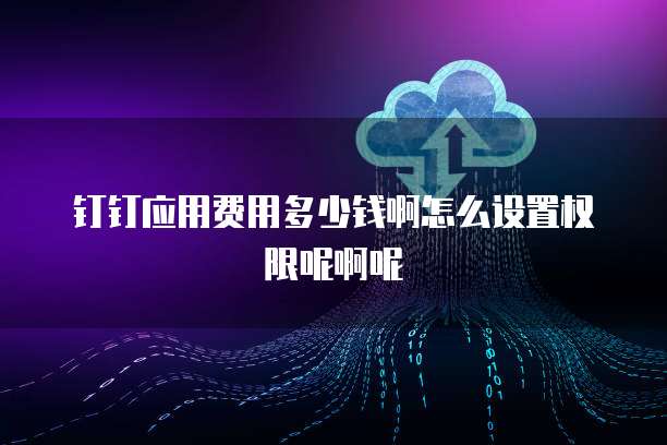 钉钉应用费用多少钱啊怎么设置权限呢啊呢