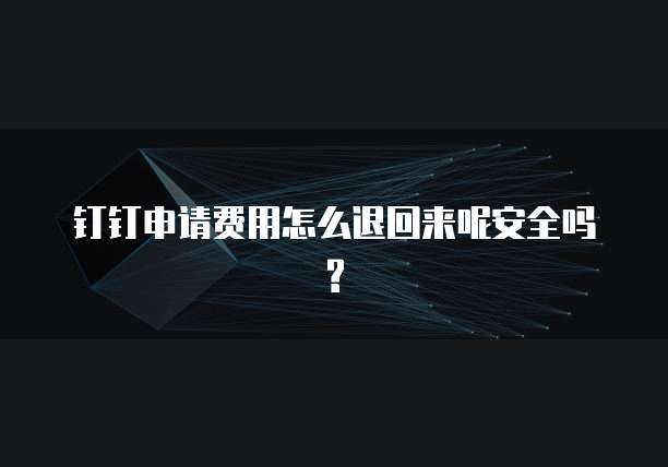 钉钉申请费用怎么退回来呢安全吗?