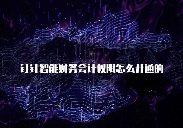 钉钉智能财务会计权限怎么开通的