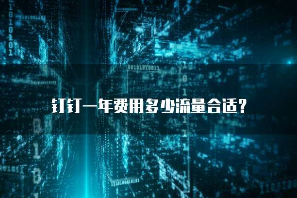 钉钉一年费用多少流量合适?