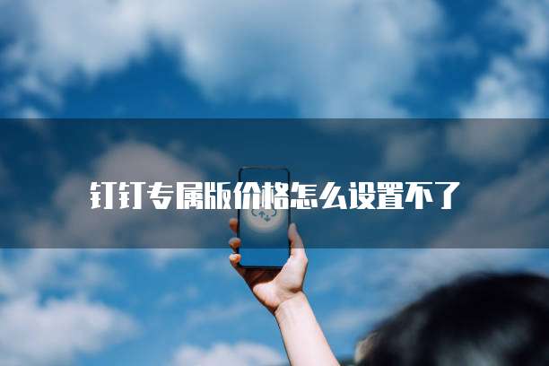 钉钉专属版价格怎么设置不了