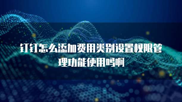 钉钉怎么添加费用类别设置权限管理功能使用吗啊