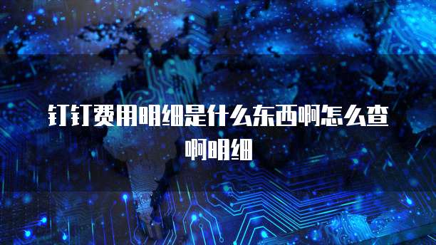 钉钉费用明细是什么东西啊怎么查啊明细