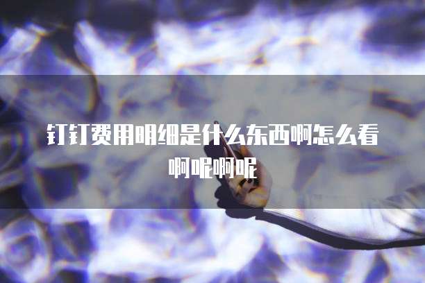 钉钉费用明细是什么东西啊怎么看啊呢啊呢