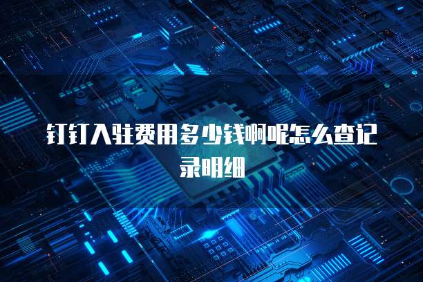 钉钉入驻费用多少钱啊呢怎么查记录明细