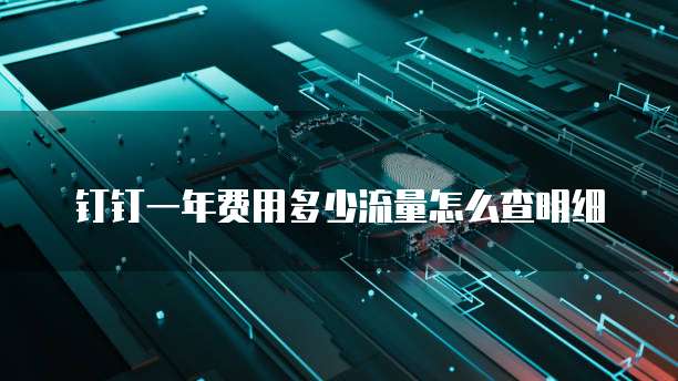 钉钉一年费用多少流量怎么查明细