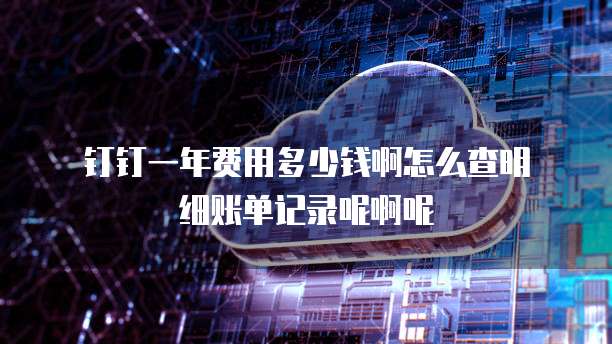 钉钉一年费用多少钱啊怎么查明细账单记录呢啊呢