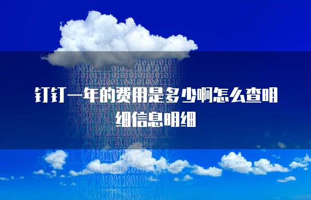钉钉一年的费用是多少啊怎么查明细信息明细