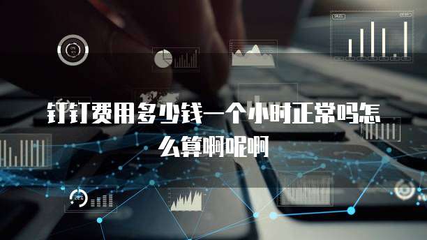 钉钉费用多少钱一个小时正常吗怎么算啊呢啊