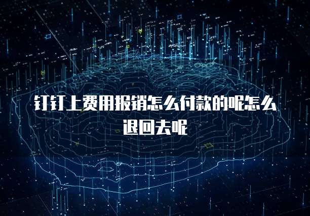 钉钉上费用报销怎么付款的呢怎么退回去呢