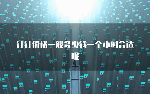 钉钉价格一般多少钱一个小时合适呢