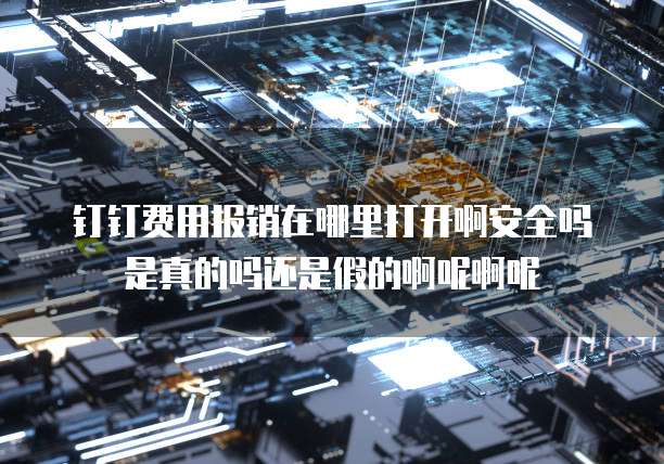 钉钉费用报销在哪里打开啊安全吗是真的吗还是假的啊呢啊呢