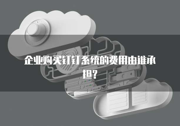 企业购买钉钉系统的费用由谁承担?