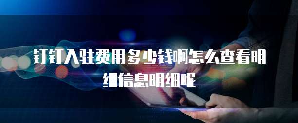 钉钉入驻费用多少钱啊怎么查看明细信息明细呢