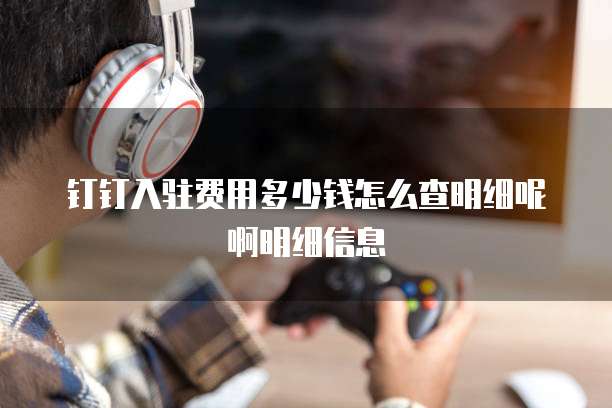 钉钉入驻费用多少钱怎么查明细呢啊明细信息