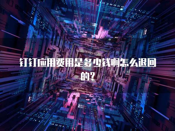 钉钉应用费用是多少钱啊怎么退回的?