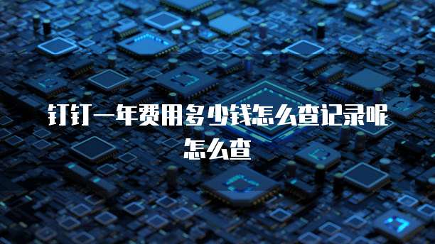 钉钉一年费用多少钱怎么查记录呢怎么查