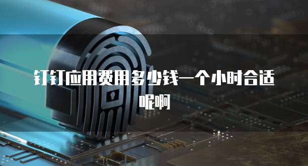钉钉应用费用多少钱一个小时合适呢啊