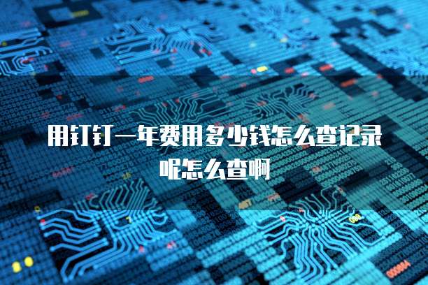 用钉钉一年费用多少钱怎么查记录呢怎么查啊