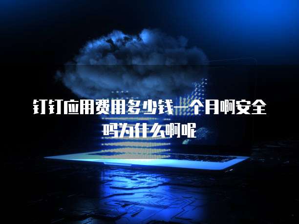 钉钉应用费用多少钱一个月啊安全吗为什么啊呢