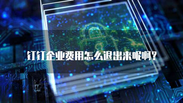 钉钉企业费用怎么退出来呢啊？