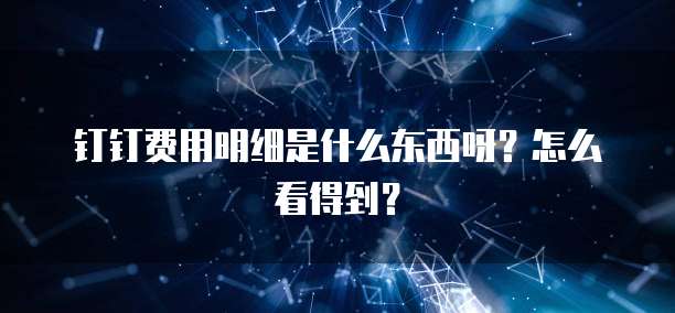 钉钉费用明细是什么东西呀?怎么看得到?