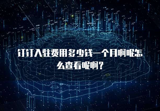 钉钉入驻费用多少钱一个月啊呢怎么查看呢啊?