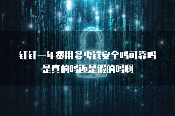 钉钉一年费用多少钱安全吗可靠吗是真的吗还是假的吗啊