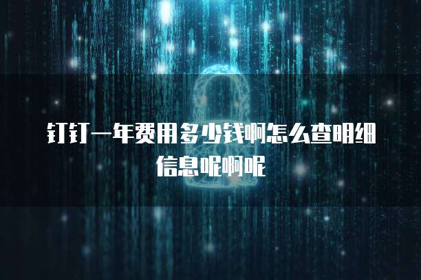 钉钉一年费用多少钱啊怎么查明细信息呢啊呢