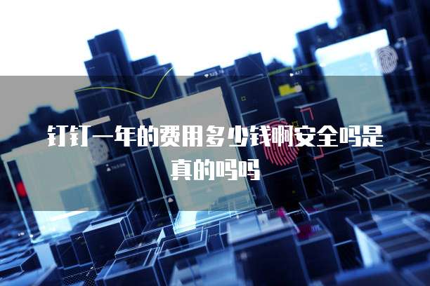 钉钉一年的费用多少钱啊安全吗是真的吗吗