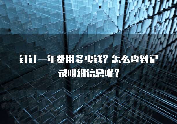 钉钉一年费用多少钱?怎么查到记录明细信息呢?