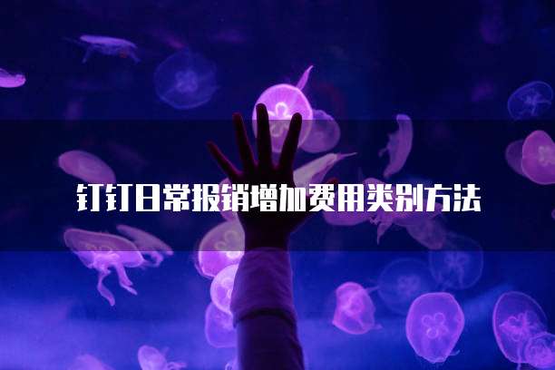 钉钉日常报销增加费用类别方法