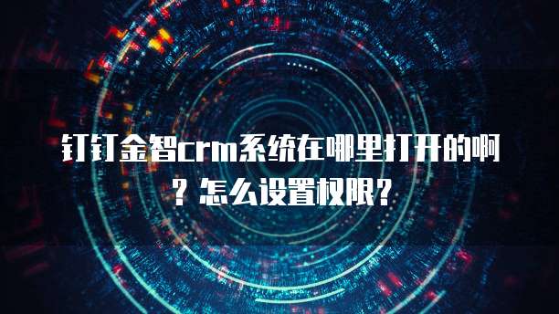 钉钉金智crm系统在哪里打开的啊?怎么设置权限?