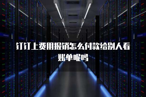 钉钉上费用报销怎么付款给别人看账单呢吗