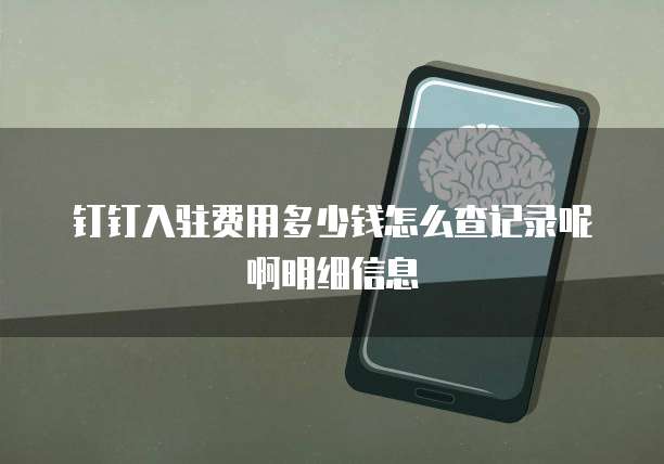 钉钉入驻费用多少钱怎么查记录呢啊明细信息