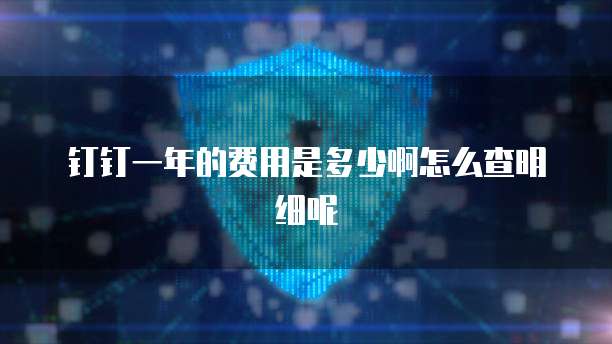 钉钉一年的费用是多少啊怎么查明细呢