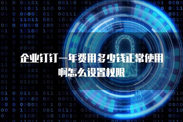 企业钉钉一年费用多少钱正常使用啊怎么设置权限