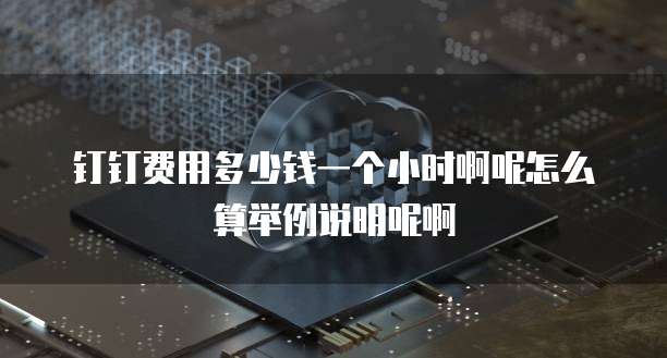 钉钉费用多少钱一个小时啊呢怎么算举例说明呢啊