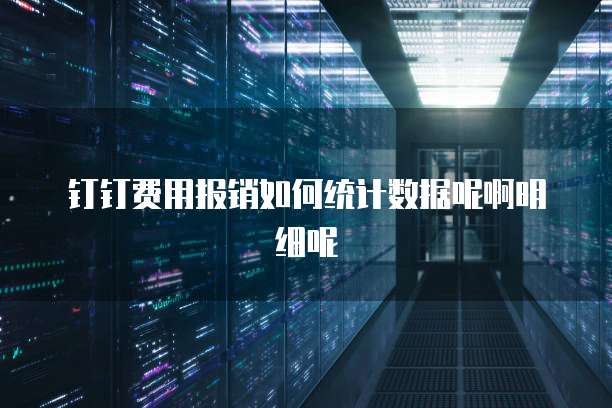 钉钉费用报销如何统计数据呢啊明细呢