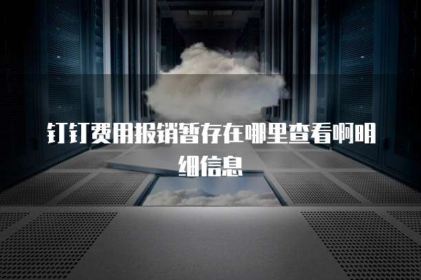 钉钉费用报销暂存在哪里查看啊明细信息