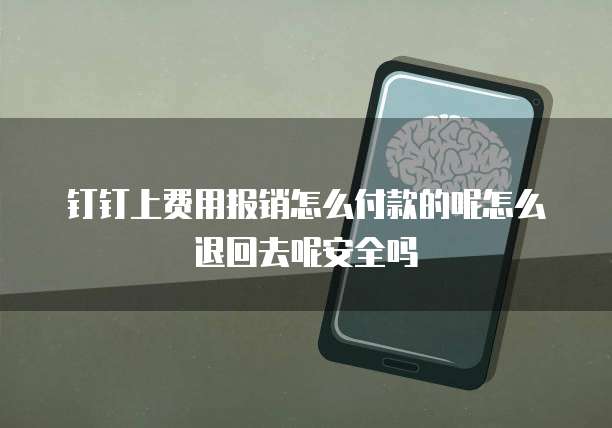 钉钉上费用报销怎么付款的呢怎么退回去呢安全吗