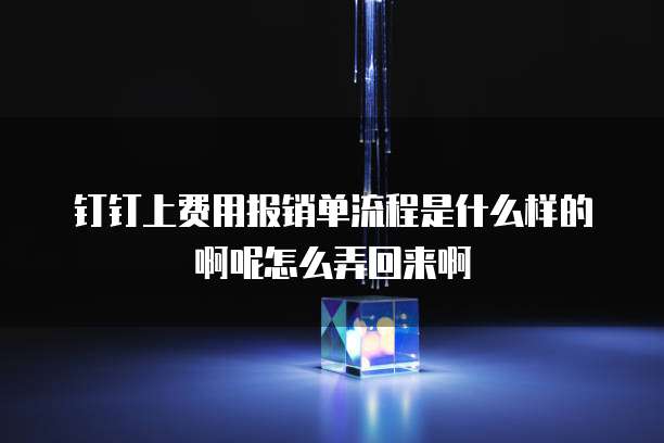 钉钉上费用报销单流程是什么样的啊呢怎么弄回来啊