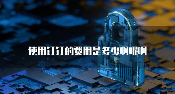 使用钉钉的费用是多少啊呢啊
