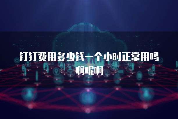 钉钉费用多少钱一个小时正常用吗啊呢啊
