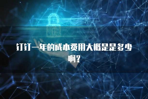 钉钉一年的成本费用大概是是多少啊?