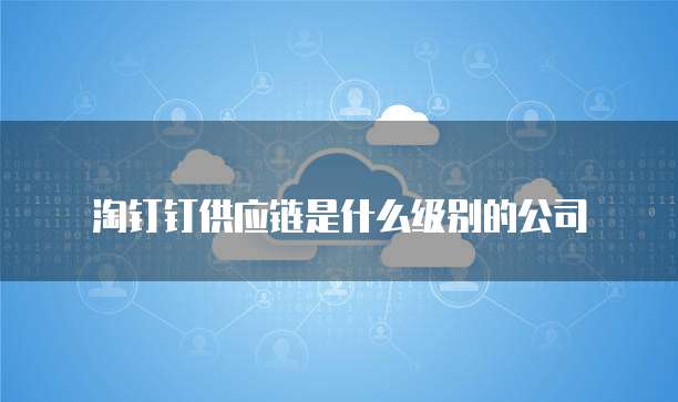 淘钉钉供应链是什么级别的公司