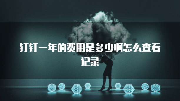 钉钉一年的费用是多少啊怎么查看记录