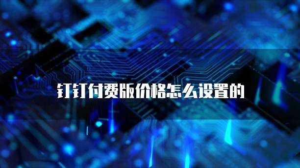 钉钉付费版价格怎么设置的