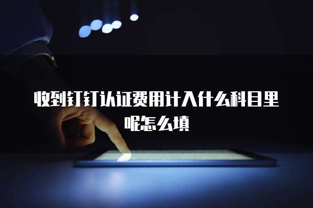 收到钉钉认证费用计入什么科目里呢怎么填